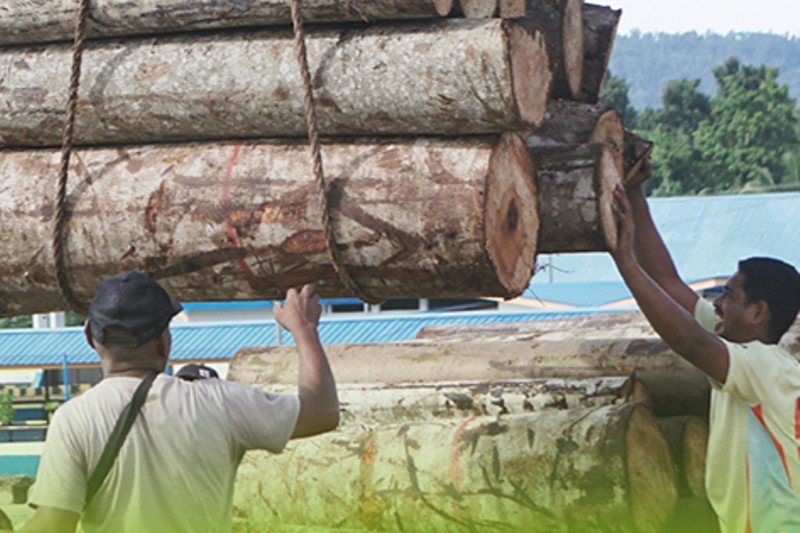 木材，远不止是一种材料