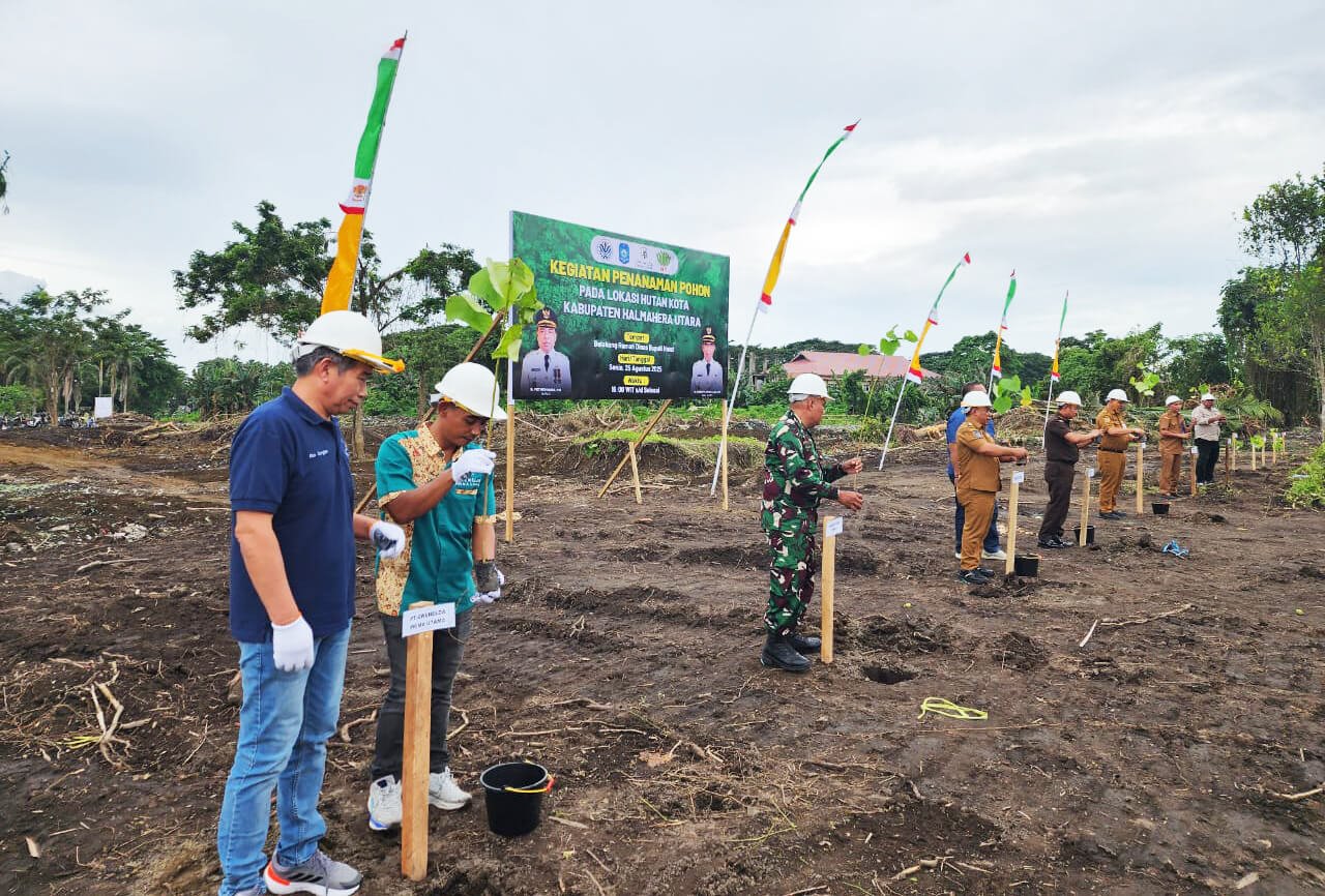 北哈马黑拉政府支持轻木投资